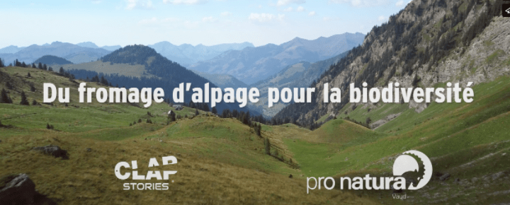 Pro Natura – Du fromage d’alpage pour la biodiversité